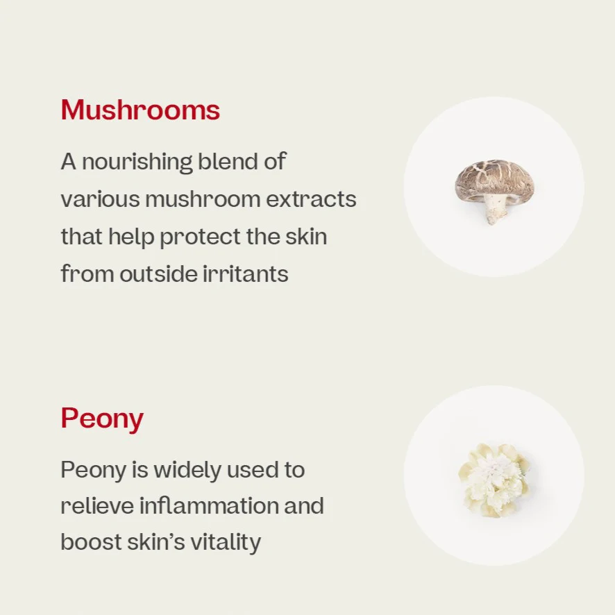 Bifida Ampoule Mist - Image 4