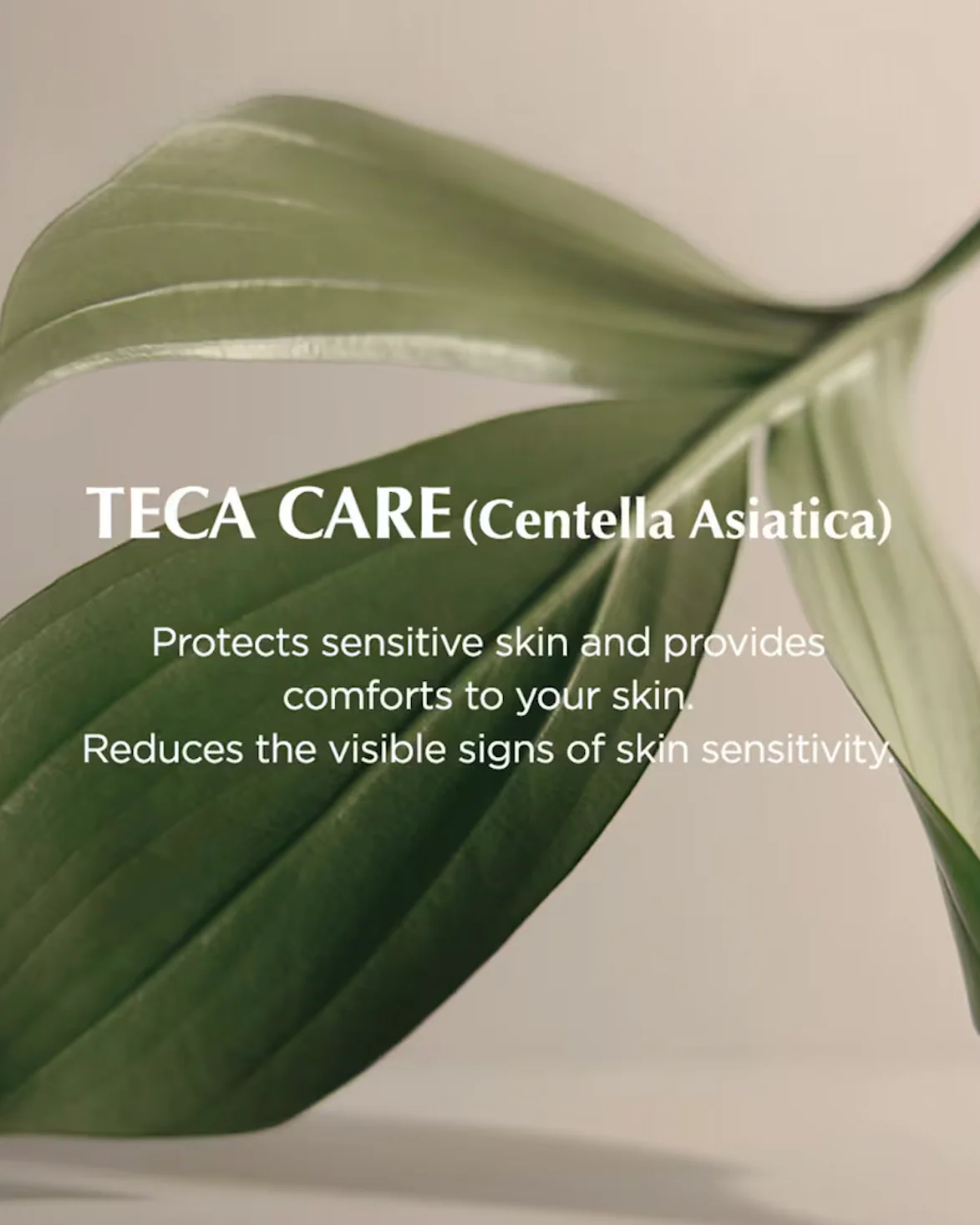 Bifida Biome Aqua Barrier Cream - Image 5