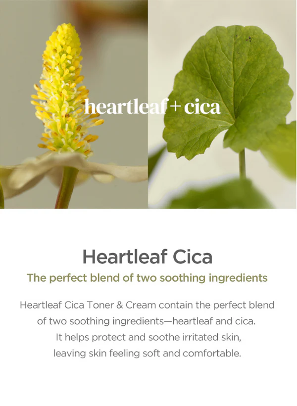Our Vegan Heartleaf Cica Toner - Image 6